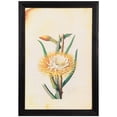 thumbnail image 2 of Northlight Desert Cereus Floral Photo Framed Wall Art - 26” x 18" - Black and Beige, 2 of 9