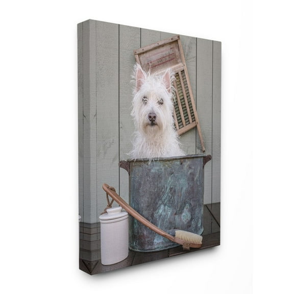 The Stupell Home Decor Collection Ready for a Bath Little White Dog in a Wash Tub Photograph Stretched Canvas Wall Art, 16 x 20