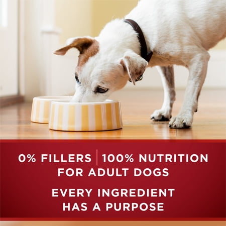 PURINA ONE SMART BLEND WET DOG FOOD, HIGH PROTEIN SOFT TURKEY & VENISON, 13 OZ CAN
