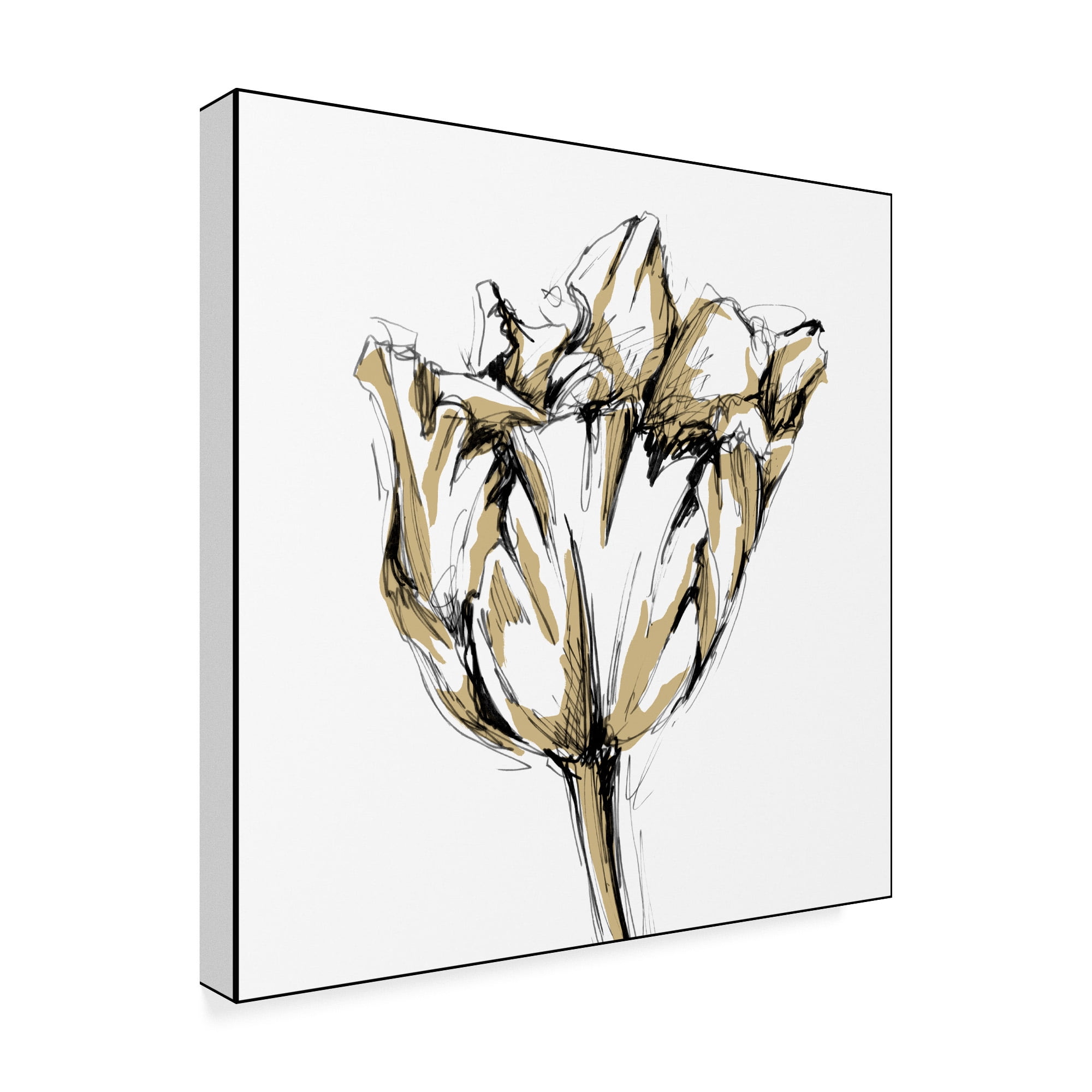 Trademark Fine Art 'Tulip Sketch I' Canvas Art by Ethan Harper