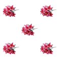 thumbnail image 3 of Baohd Add Beauty To Any Setting With Artificial Flowers And Plants Silk Artificial Flowers For Decorations Fake Flowers deep pink 5Set, 3 of 6