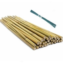 Artrylin 20Pcs 18 inch Bamboo Plant Stakes with 20Pcs Green Ties for Indoor Outdoor Plants, Garden Plant Support Sticks, Poles for Tomato Vegetables Beans Trees Potted Climbing Plants(0.32''-0.4'')
