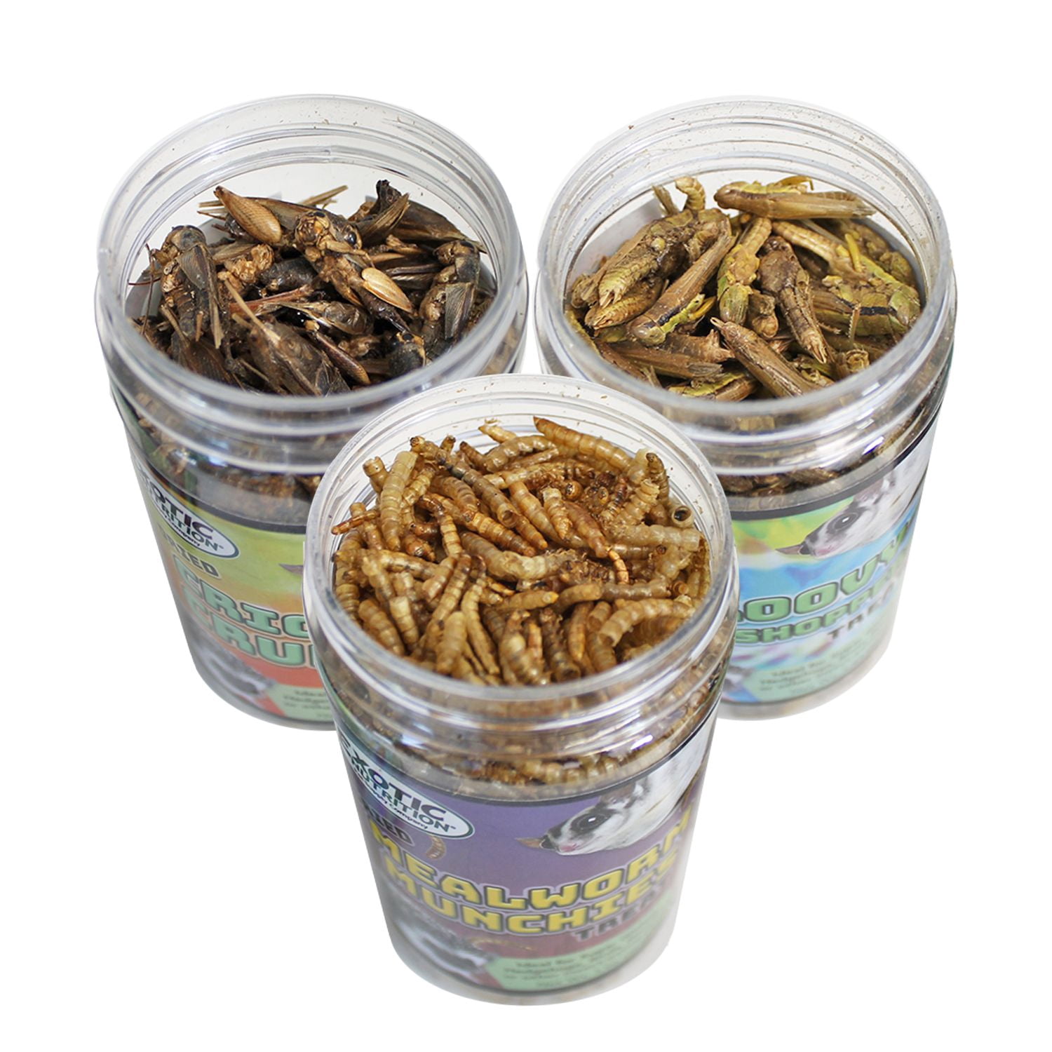 Exotic Nutrition Dried Insect 3 Pack