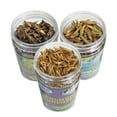 thumbnail image 2 of Exotic Nutrition Dried Insect 3 Pack, 2 of 5
