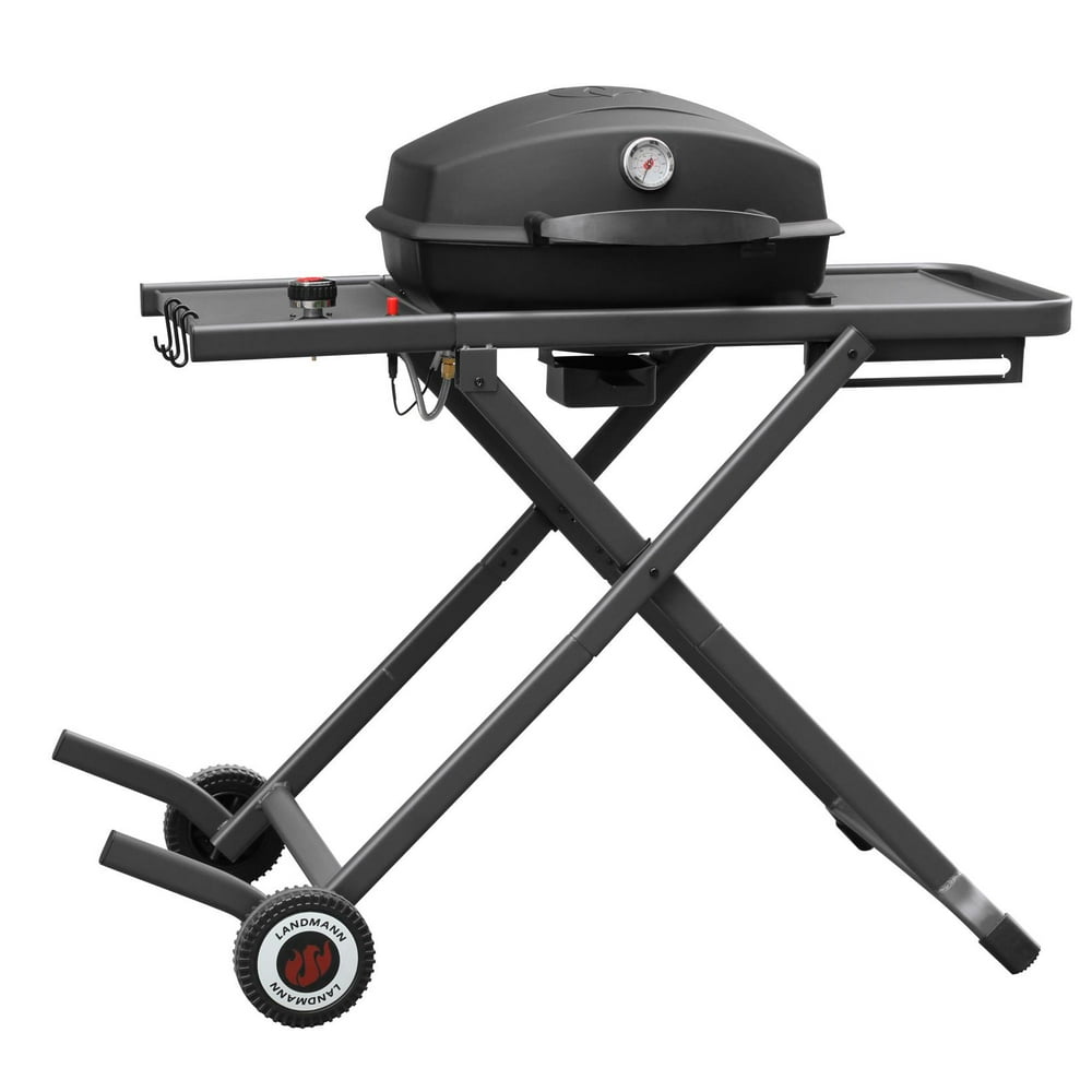 portable propane grill with stand