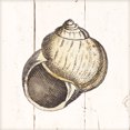 thumbnail image 3 of Gango Home Decor Coastal Shell Sketches Shiplap I & II by Wild Apple Portfolio (Ready to Hang); Two 12x12in Distressed Framed Prints, 3 of 5