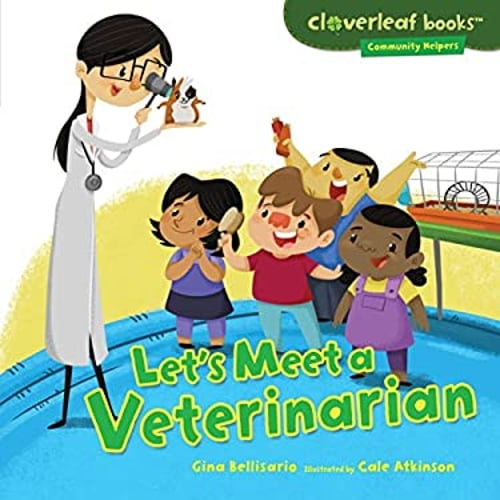 Pre-Owned Let's Meet a Veterinarian (Unknown) 0761390308 9780761390305