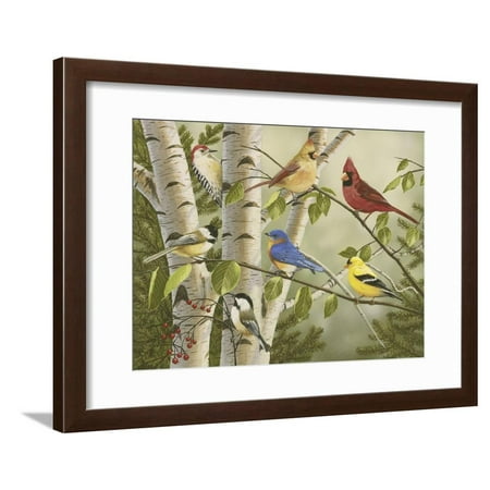 - Summer Friends Cardinals Goldfinch Bluebird Chickadees and Woodpecker Framed Print Wall Art By William Vanderdasson