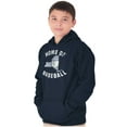 thumbnail image 5 of State of New York Home Of Baseball Youth Hoodie Boy Girl Teen Brisco Brands M, 5 of 5