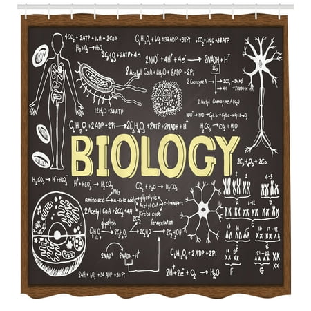 Educational Shower Curtain, Black Chalkboard Biology Hand Written Symbols School Classroom, Fabric Bathroom Set with Hooks, Black Brown Pale Yellow, by