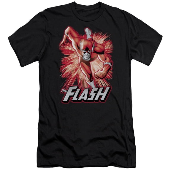 JLA Justice League Flash Red & Gray S/S Adult 30/1 T-Shirt Black