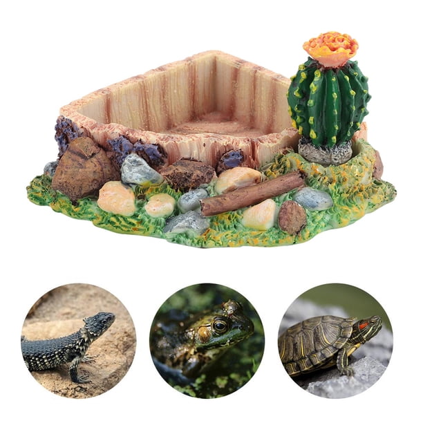 Tazón De Fuente De Agua Aspecto Exquisito Tazón De Alimentación, Plato De Alimentación, Mascotas Para Reptiles