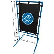 Blitzball Strike Zone Target