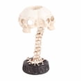 thumbnail image 3 of Lámpara de Mesa de Esqueleto| Decoración de Halloween en Estilo Industrial Retro para Dormitorio de Terror, 3 of 11