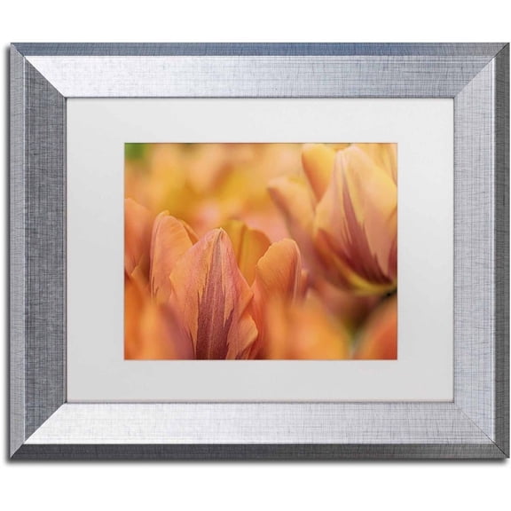 Trademark Fine Art 'Orange Tulips' Canvas Art by Cora Niele, White Matte, Silver Frame