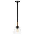 thumbnail image 3 of JONATHAN Y Alys 7.63" Adjustable Rope-Wrap Modern Rustic Iron/Glass LED Pendant, Black, 3 of 9