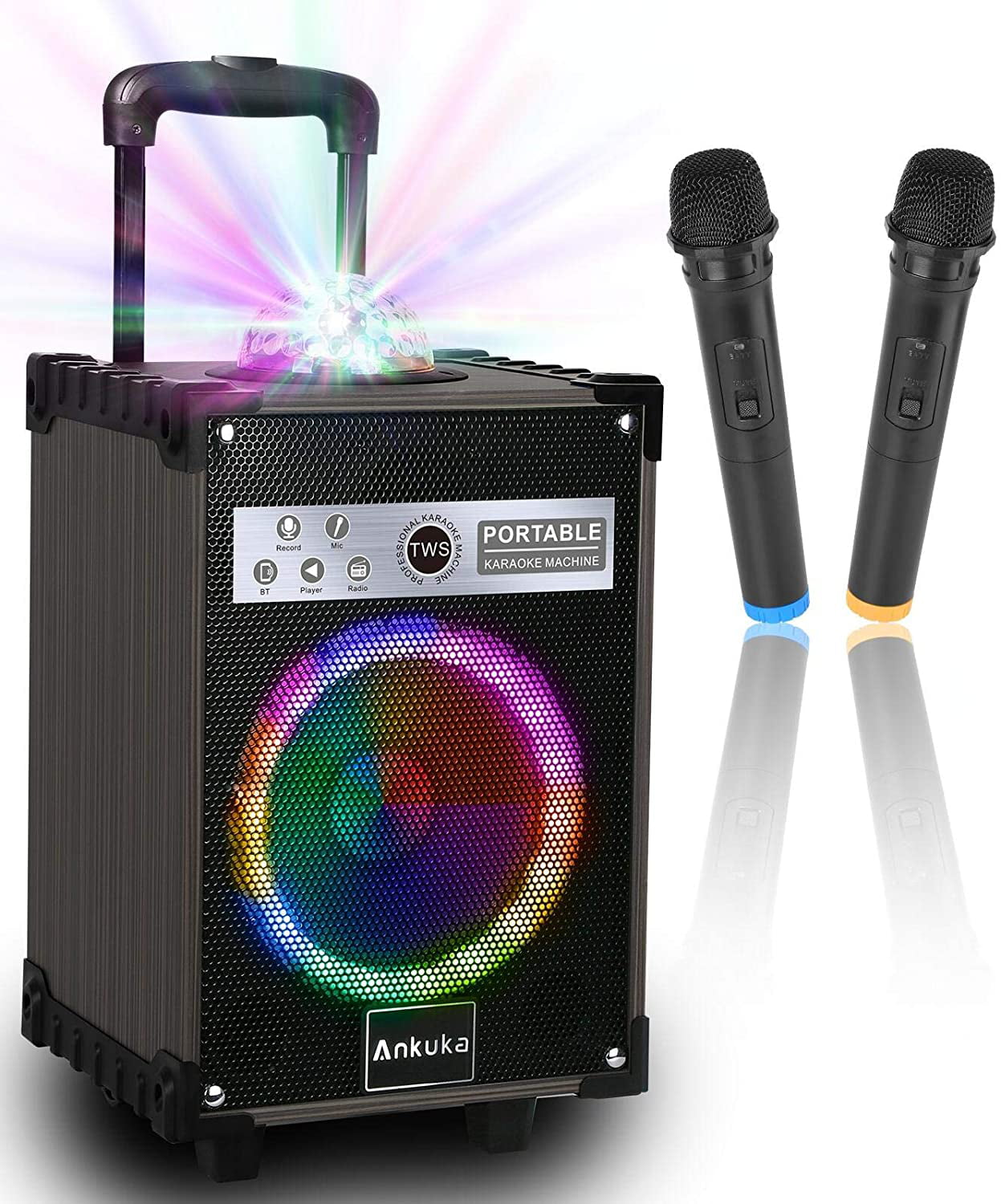 TV and Aux cable Bluetooth Portable Singing PA Speaker System LED & Disco Lights Karaoke Machine for Adults and Kids Best Christmas & Birthday Gift for Boys & Girls 2 Wireless Dual Microphones 