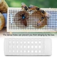 thumbnail image 2 of Noref 10PCS/Set Beekeeping Rearing Cup Kit Queen Bee Cages Beekeeping Equipment, Beekeeping Cage, Beekeeping Equipment, 2 of 8