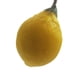 thumbnail image 1 of Jabón en forma de limón - Jabón natural en barra con cuerda para colgar, refrescante para manos y cuerpo, empaquetado en caja de regalo., 1 of 1