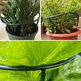 thumbnail image 4 of Soporte De Jardín, Estaca De Planta Trepadora Verde, Plástico Reutilizable Para Arbustos, Flores, Tomates ANGGREK Otros, 4 of 8