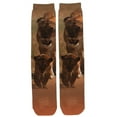 thumbnail image 1 of Lion And Cub Sublimated Socks, 1 of 1