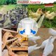 thumbnail image 1 of Bebedero para pollos de 12 piezas, bebedero automático, con herramientas perforadoras, adecuado para pollos, patos y otras aves de corral de patio trasero, azul Rojo Verde Cocina, Decoración y Otros, 1 of 3