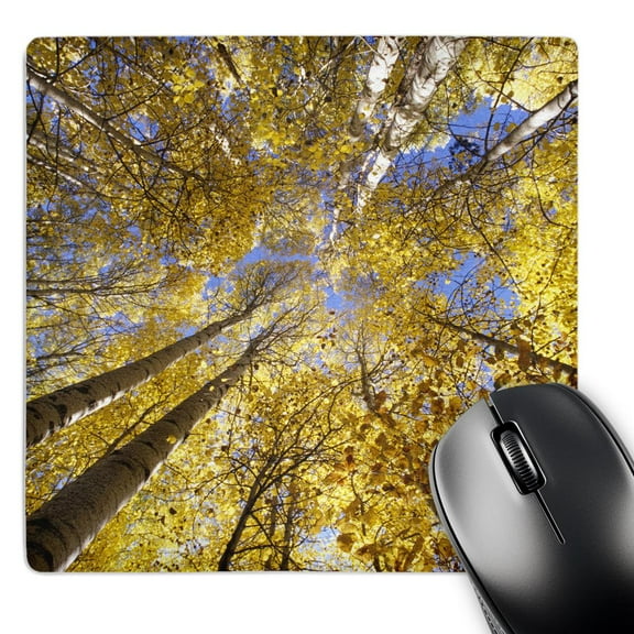 3dRose, USA, Pacific Northwest. Aspen trees in autumn - US52 SWE0000 - Stuart Westmorland, MousePad
