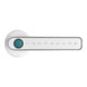thumbnail image 1 of Cerradura de puerta con huella digital Entrada sin llave inteligente Teclado biométrico Palanca de contraseña Hugtrwg Para estrenar, 1 of 7