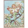 thumbnail image 2 of Vision Studio 15x18 White Modern Wood Framed Museum Art Print Titled - The Pear Blossom Fairy, 2 of 4