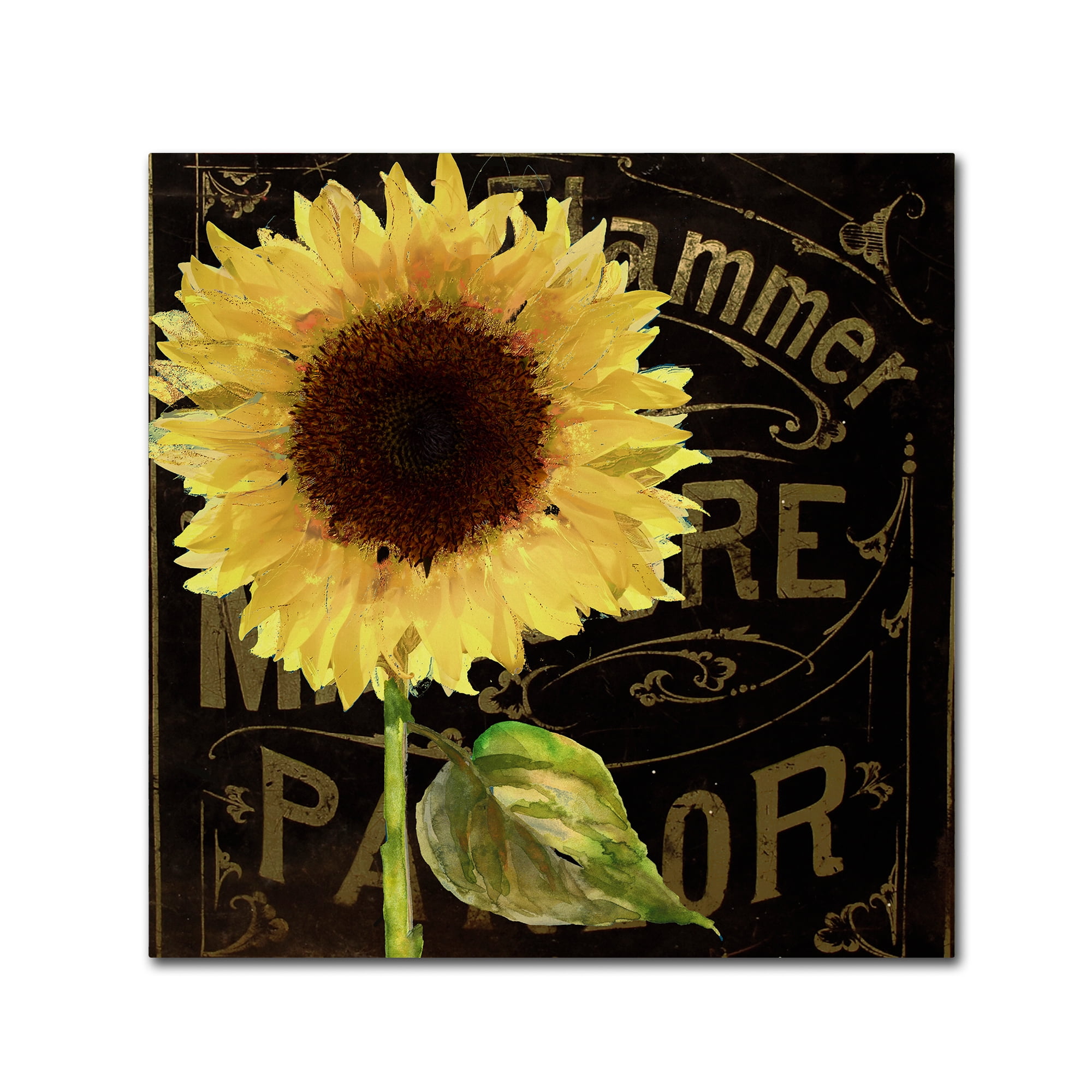 Trademark Fine Art "Sunflower Salon I" Canvas Art by Color Bakery