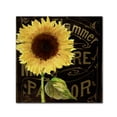 thumbnail image 2 of Trademark Fine Art "Sunflower Salon I" Canvas Art by Color Bakery, 2 of 4