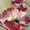 Unframed, variant on Art.com Lush Poppy Art Print by Brent Heighton, Black Frame Wall Art, 21" x 21"
