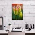 thumbnail image 3 of Epic Graffiti 'Tulip No 4' by Istvan Nagy, Canvas Wall Art, 12"x18", 3 of 8