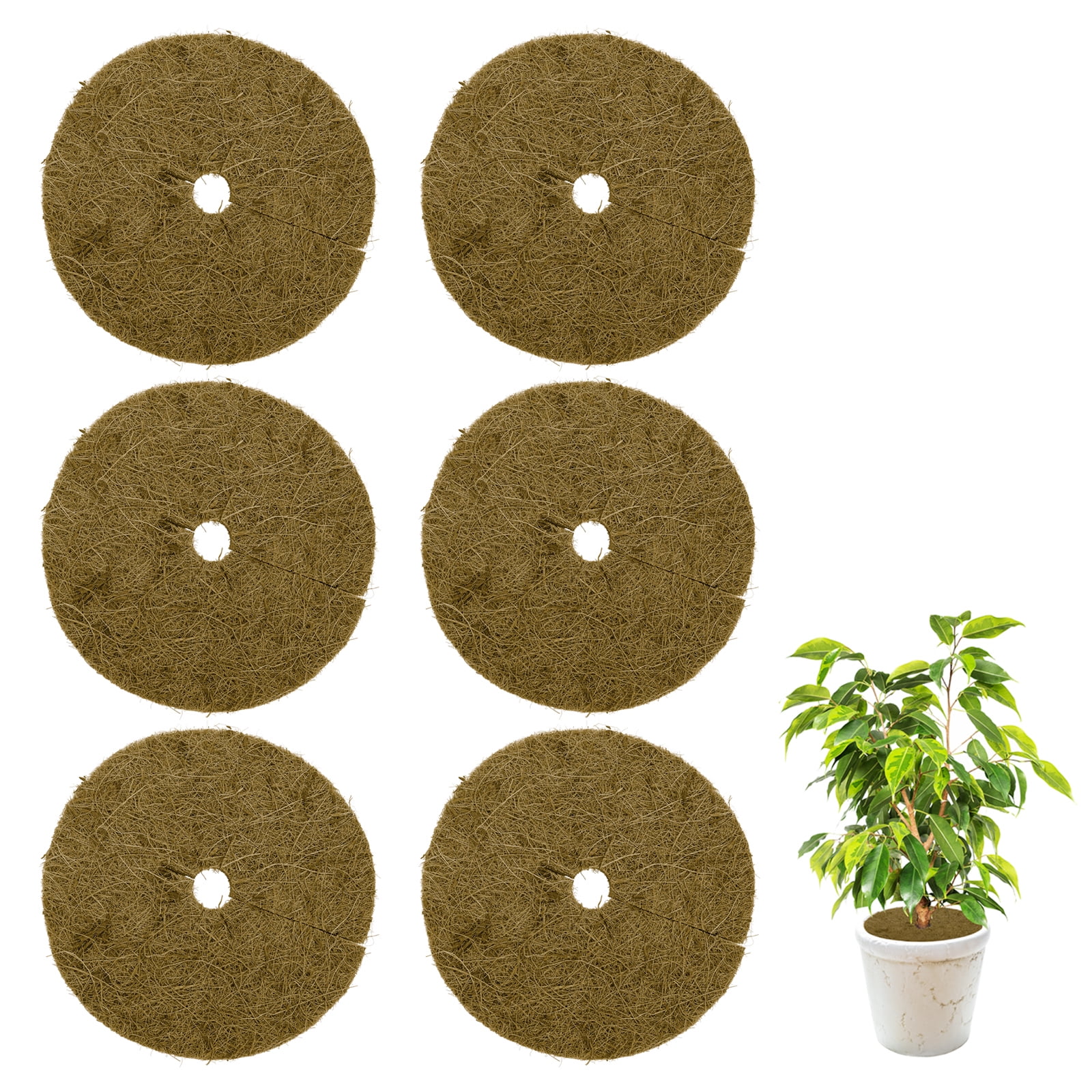 6pcs Coconut Fiber Covered Ring Tree Protector Pad, Coco Coir Protector, Pad Tray Plant Cover