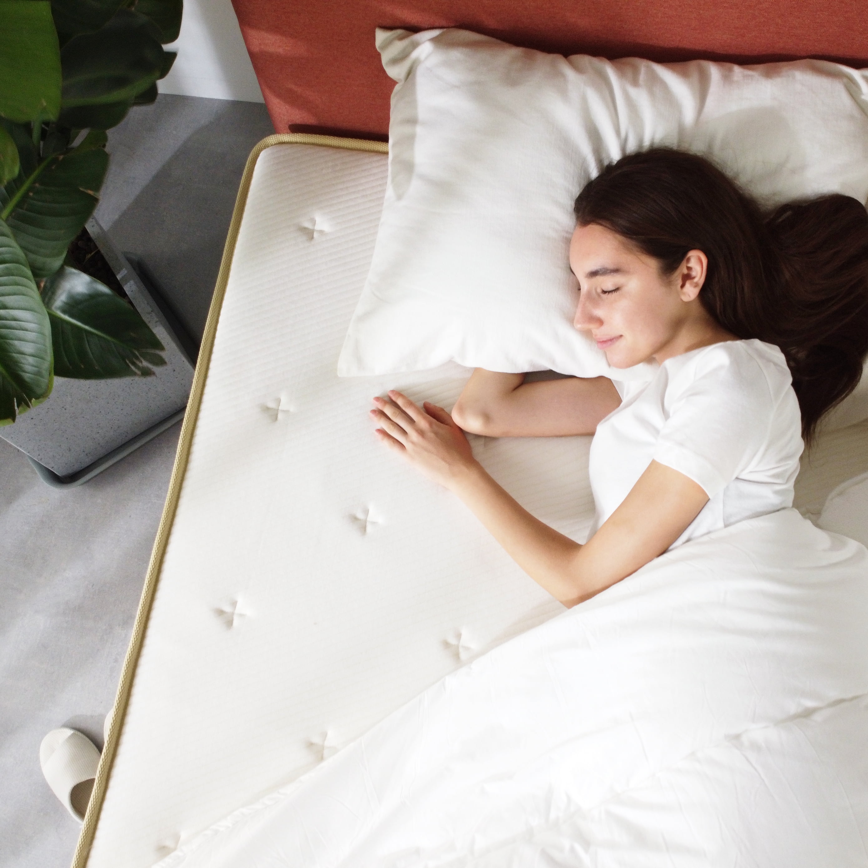 Mellow Lagom 10" Green Tea Infused Elite Hybrid Mattress, Queen