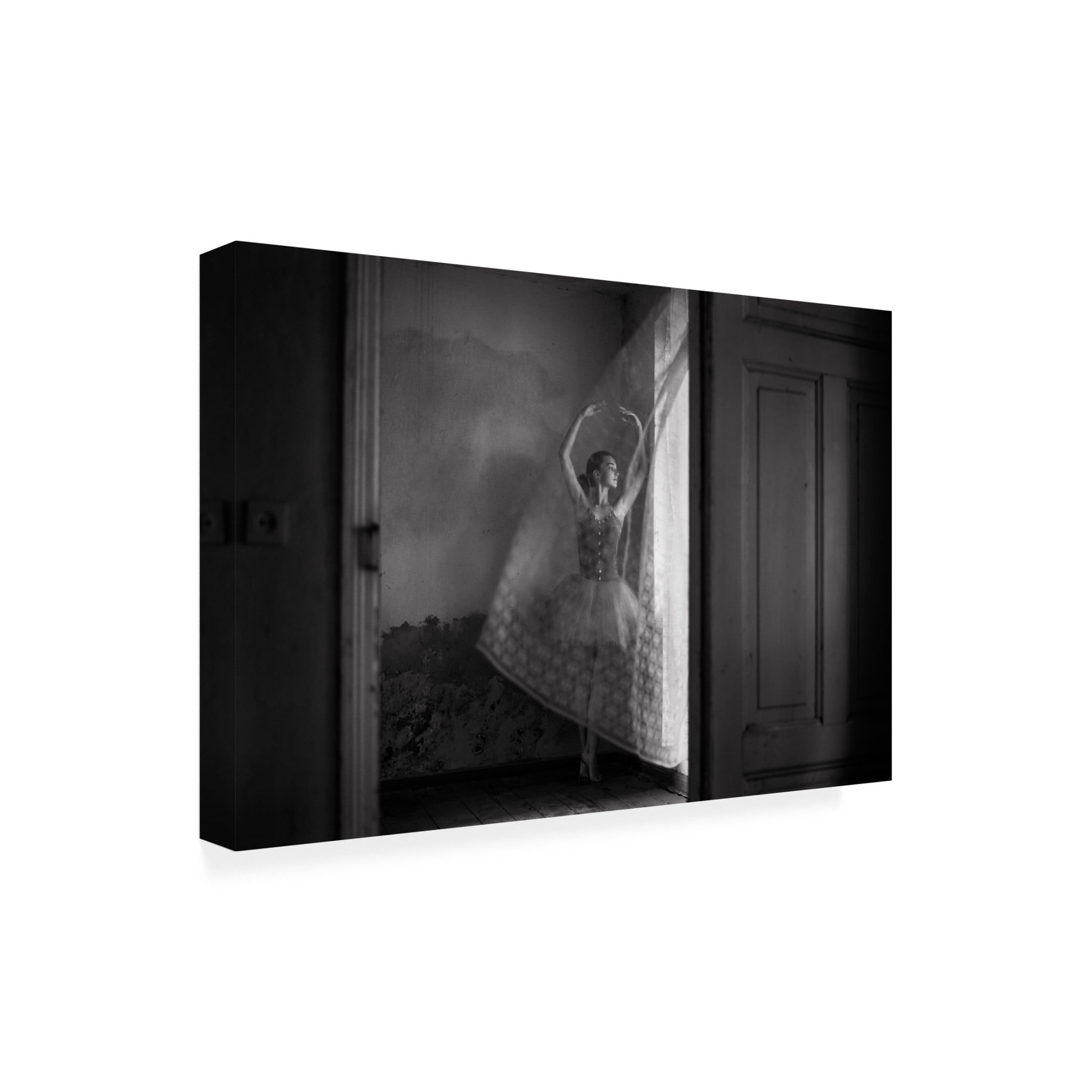 Trademark Fine Art Ma?gorzata Masarz Untitled Canvas Wall Art