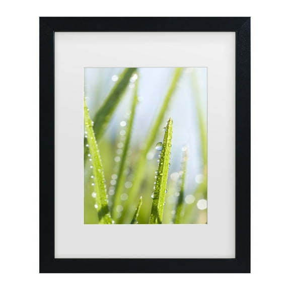 Trademark Fine Art 'Morning Melody' Canvas Art by Beata Czyzowska Young