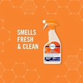 thumbnail image 4 of Febreze Fabric Odor-Fighting, Sanitizing Spray, Fresh Scent, 24 Fl oz, 2 Count, 2 Pack, 4 of 4