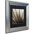 thumbnail image 2 of Trademark Fine Art "Florison 48" Canvas Art by Alan Blaustein, Black Matte, Silver Frame, 2 of 4