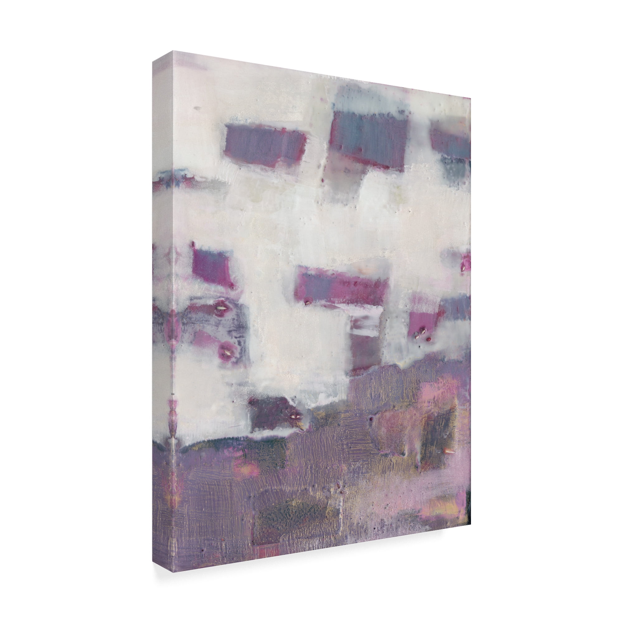 Trademark Fine Art 'Tilde VI' Canvas Art by Sue Jachimiec