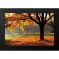 thumbnail image 2 of Jones, Mike 18x13 Black Modern Framed Museum Art Print Titled - Autumn, 2 of 5