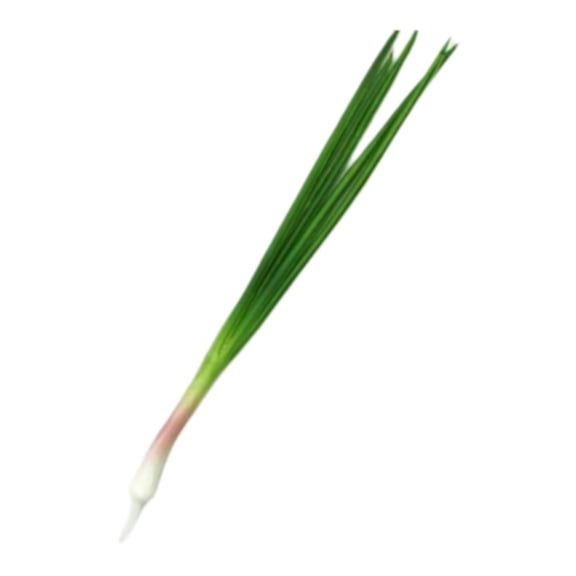 Vegetal artificial realista, accesorio decorativo para fotos, simulación de vegetal Cebollino