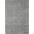 thumbnail image 1 of Dynamic Rugs SI695900901 5 Pi 3 Po x 7 Pi 7 Po Shag Soyeux 5900 Rectangle Tapis Contemporain - 901 Argent, 1 of 1