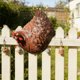 thumbnail image 5 of Adorno de valla exterior para gallinas y decoraciones de jardín, figurita decorativa de gallina para vallas, barandillas, paredes – Decoración fácil de instalar para el jardín de granja, set de 2, 5 of 5