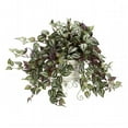 thumbnail image 1 of Wandering Jew with Metal Planter Silk Plant, 1 of 1