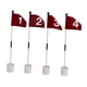 thumbnail image 5 of 4x banderas de Golf, juego con agujeros para bandera de Golf, regalos de práctica para Putting, bandera verde de Putting de Golf y copa con a, 5 of 9