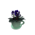 thumbnail image 2 of Mint Green Ceramic Teacup with Surprise Miniature African Violet - 2.5" Pot, 2 of 4