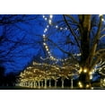 thumbnail image 7 of Novelty Lights 50 Light LED Twinkle Christmas LED Mini Light Set, Outdoor Fairy Wedding String Lights, Warm White, Green White, 25 Feet, 7 of 7