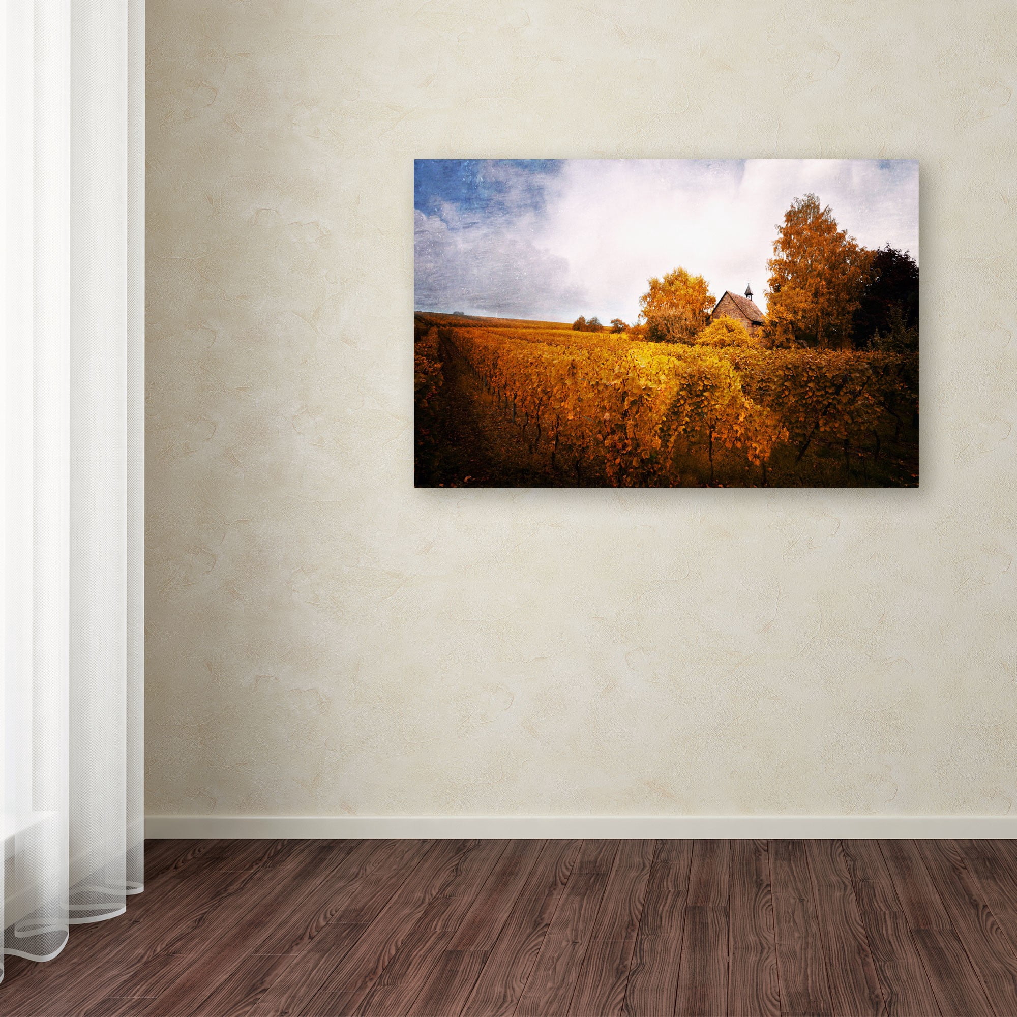 Trademark Fine Art "Light in Vineyards" Canvas Art by Philippe Sainte-Laudy