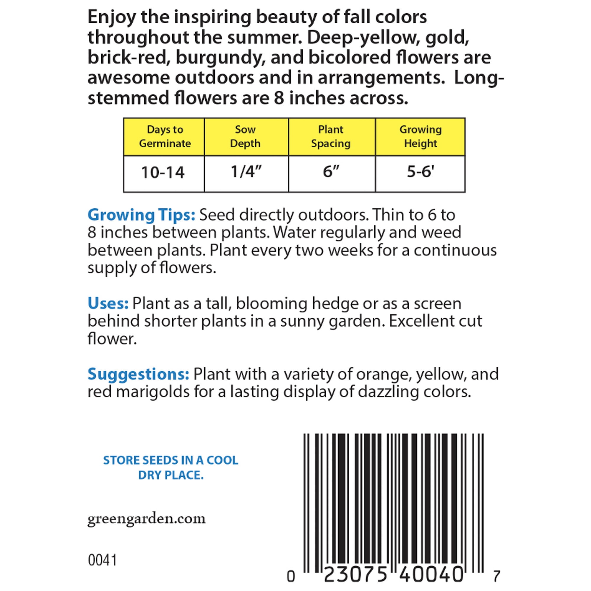 American Seed 350MG Sunflower Autumn Beauty Annual Flower, Full Sun